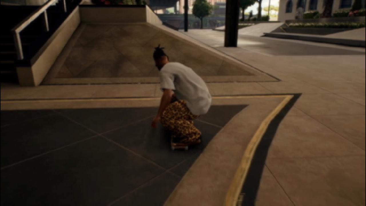 PHONY HAWK DOMINATES SAN VAN