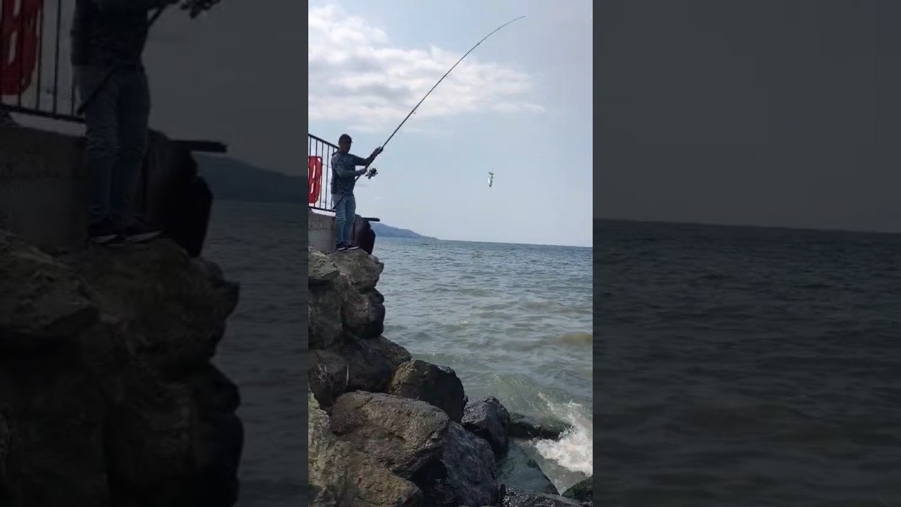 &Ccedil;ARPMA ILE KEFAL AVI NASIL YAPILIR