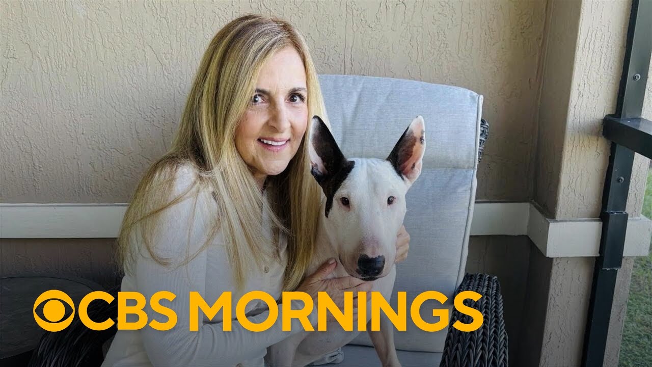 Trooper the dog endures surgeries for cancer and a foreign object in his stomach