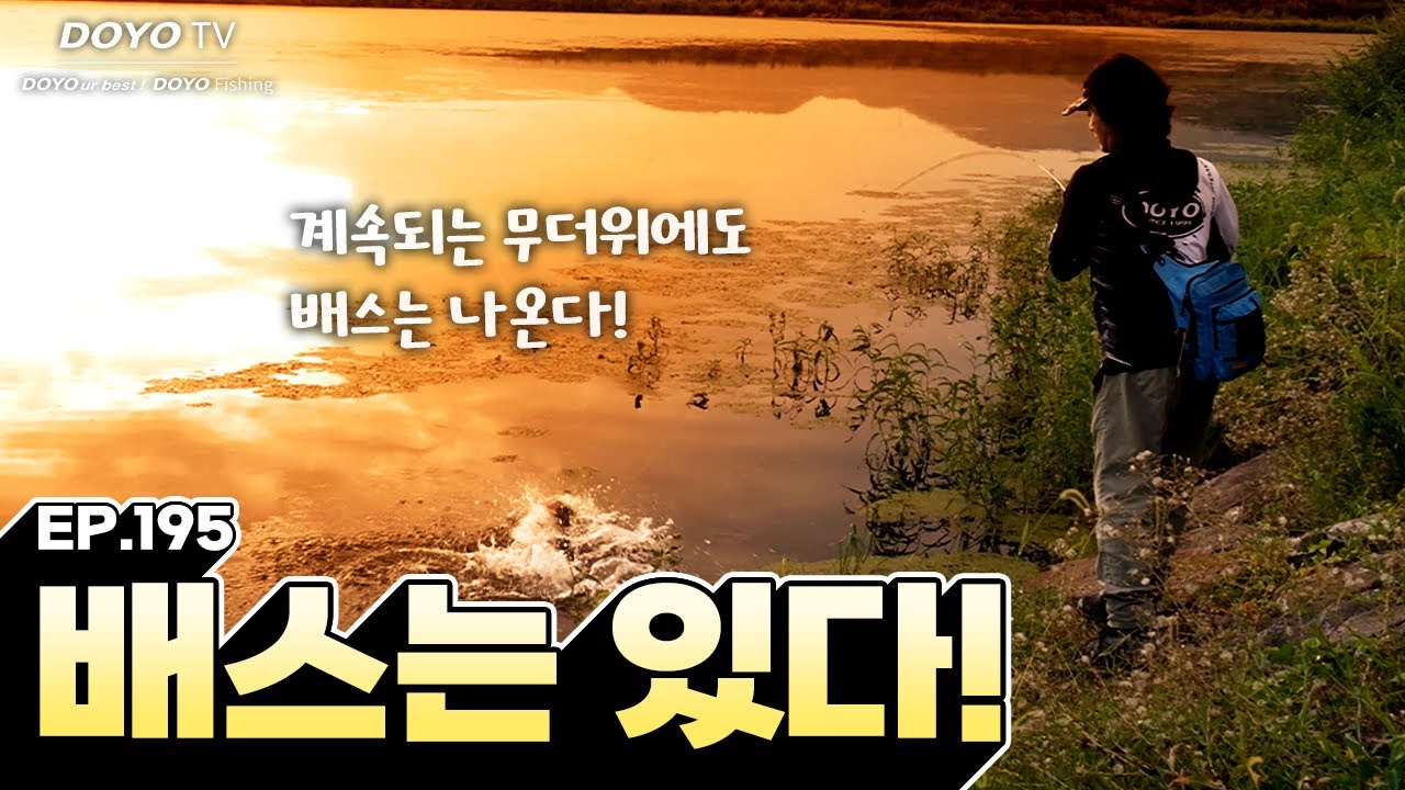 [도요TV ep.195] 아무리 더워도 배스는 반드시 나옵니다☀️