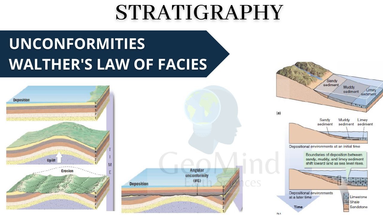 Stratigraphy | Unconformities | Walther's law of facies | Geology | UPSC | GATE | NET