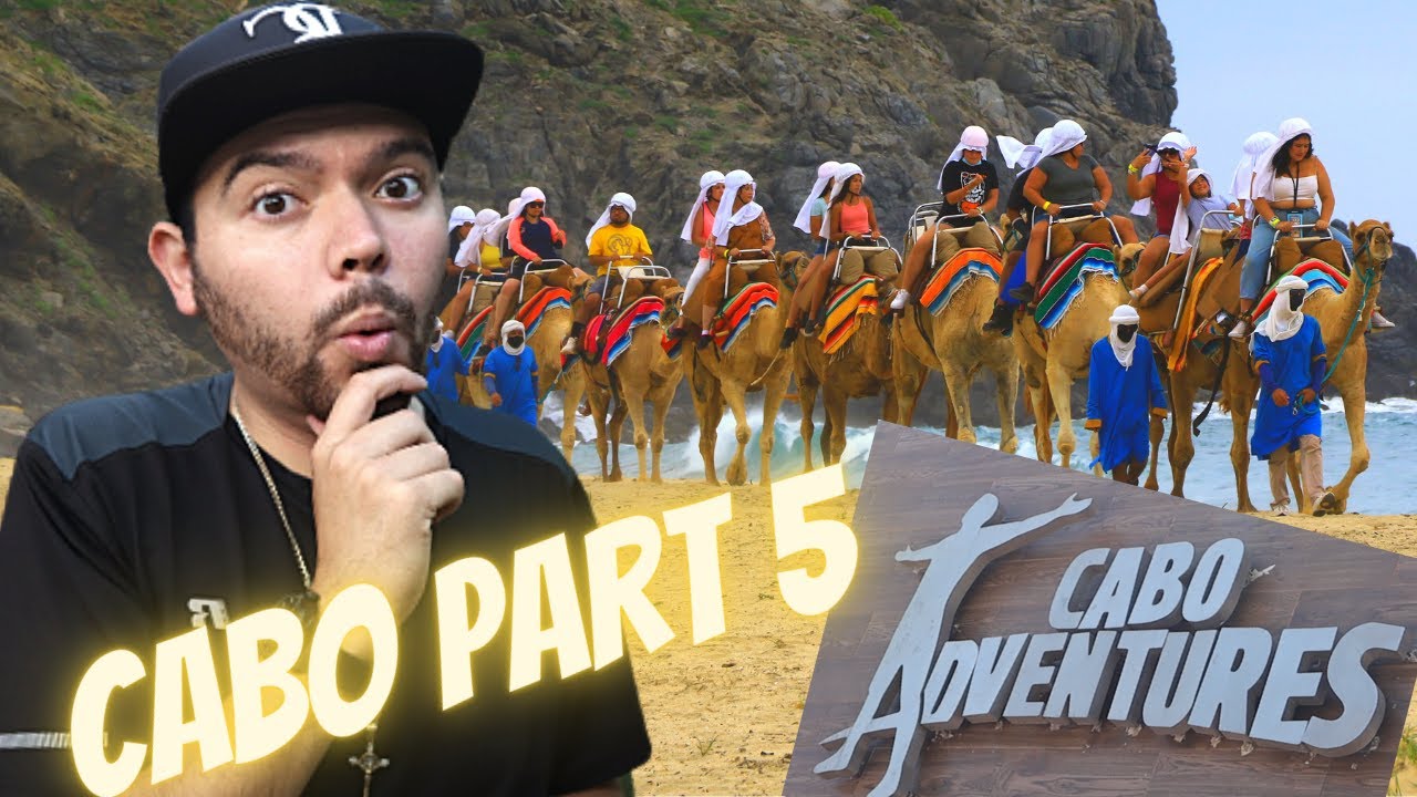Riding A Camel In San Lucas Cabo With Cabo Adventures, Learning About Cacao, Buffet
