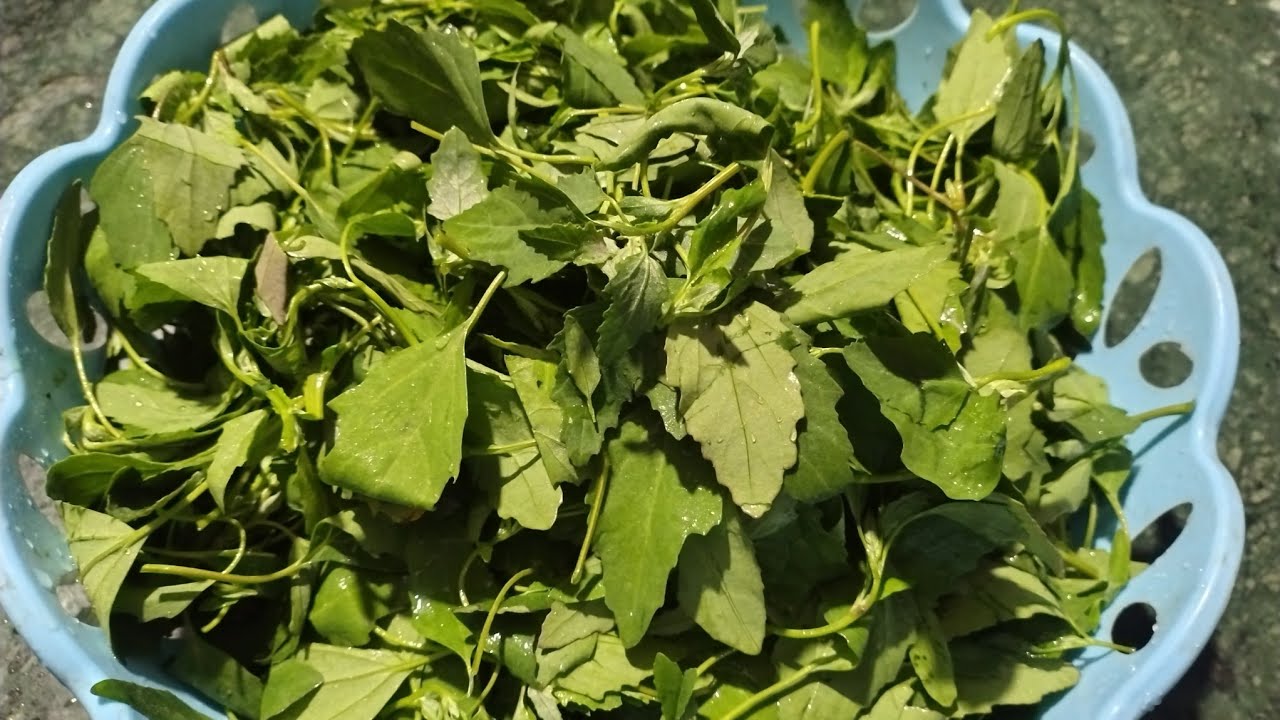 बटुआ वाली कड़ी को इस तरह से बनाएंगे तो बहुत टेस्टी बनती है/bathua kadhi recipe/😋 Pankaj food vlogs 👍