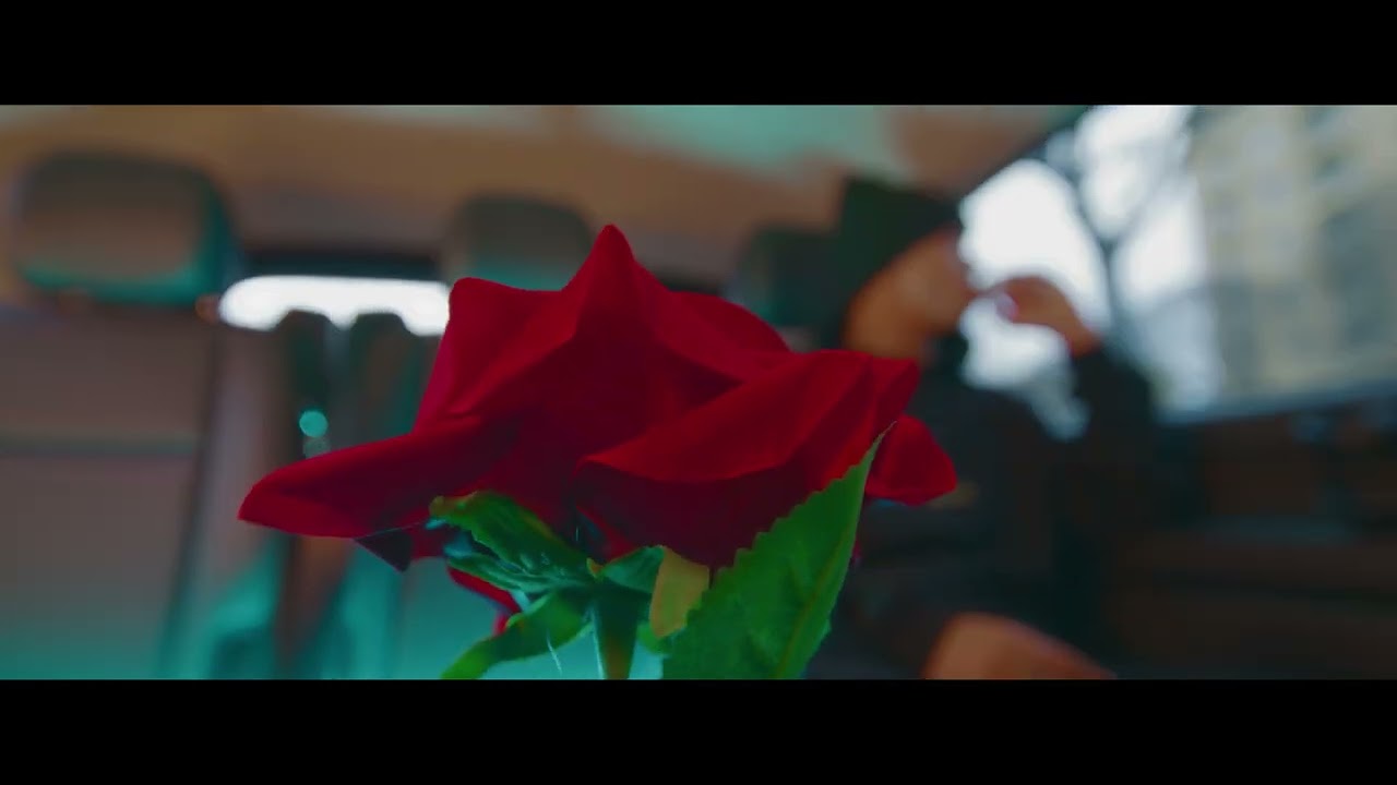 DubStepp - Hermosa (Official Video)