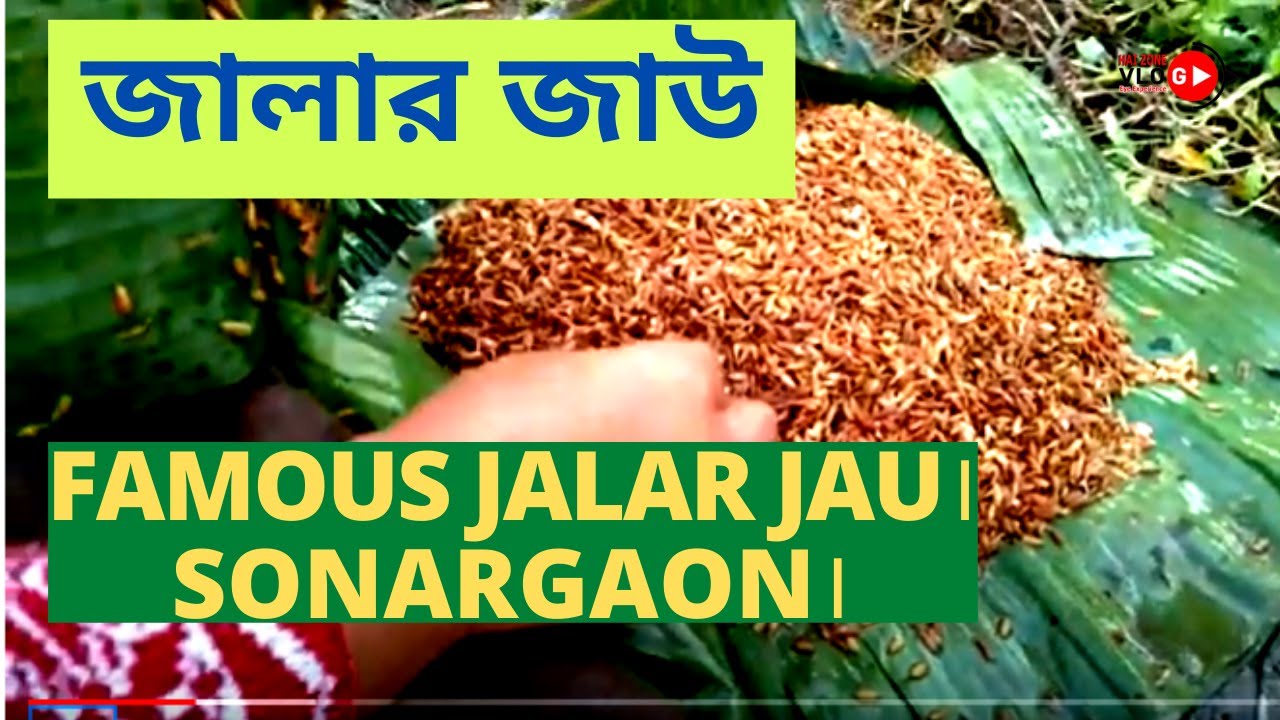 FAMOUS JALAR JAU। SONARGAON/জালার জাউ#HAIZONE