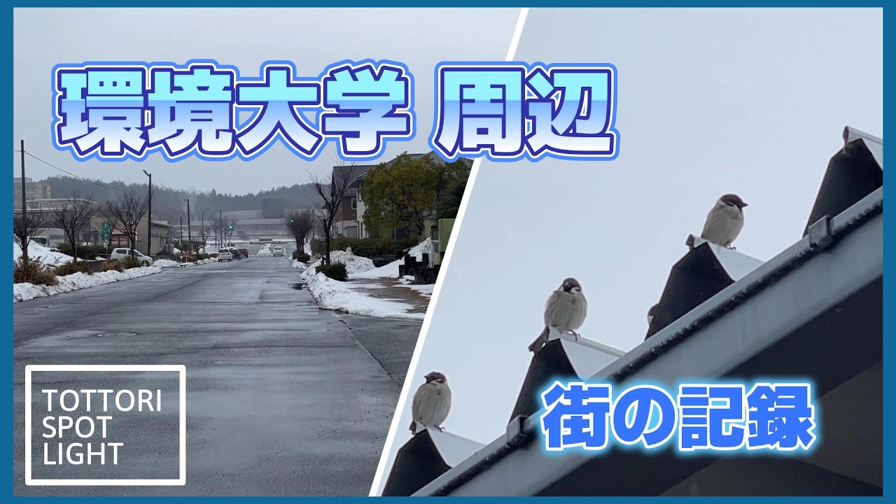 若葉台・環境大学周辺｜鳥取CM向け 街の記録映像   ＃39