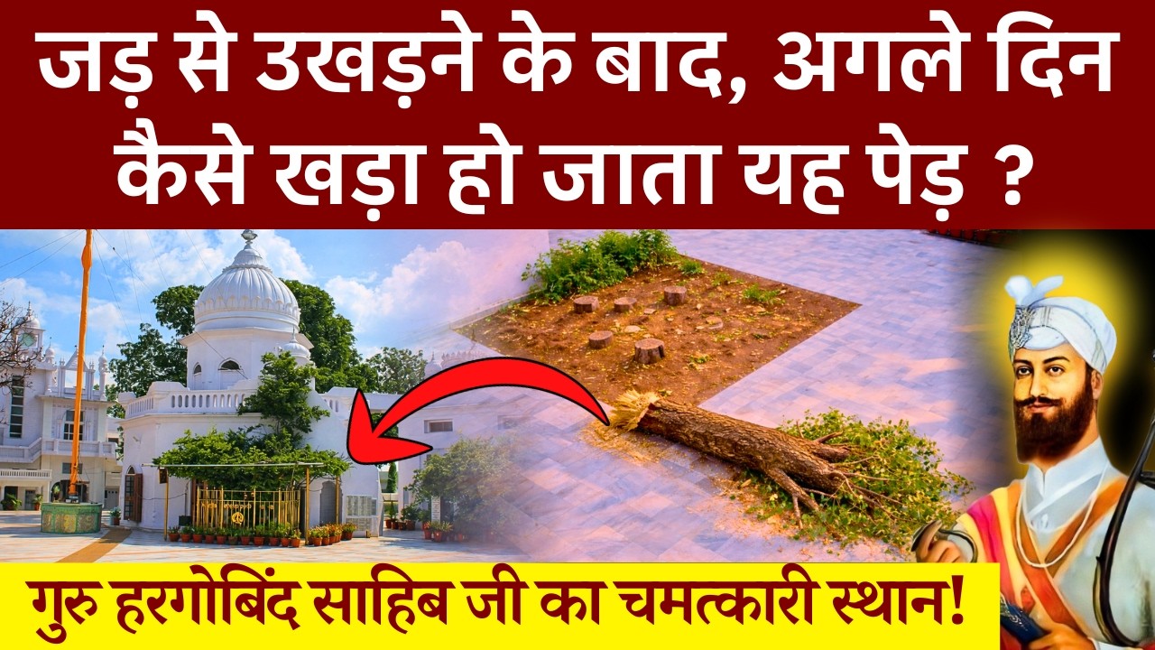 अटके काम इस पेड़ को छूने से होते हैं ठीक, 6th गुरु हरगोबिंद जी का अनोखा वरदान | Garna Sahib