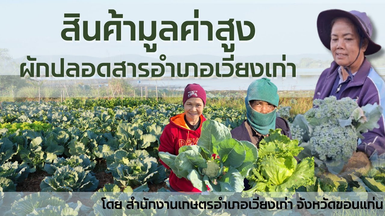 สินค้ามูลค่าสูง 