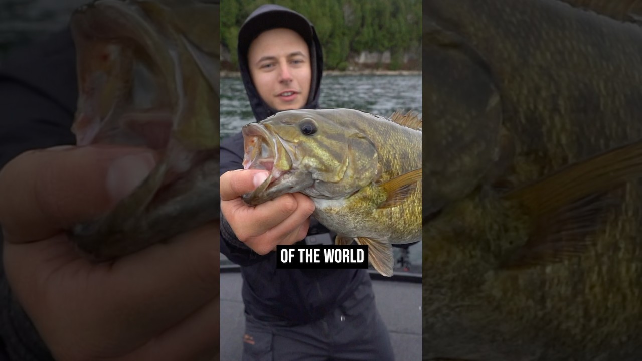 Fishing the Smallmouth Bass Capital of the WORLD!