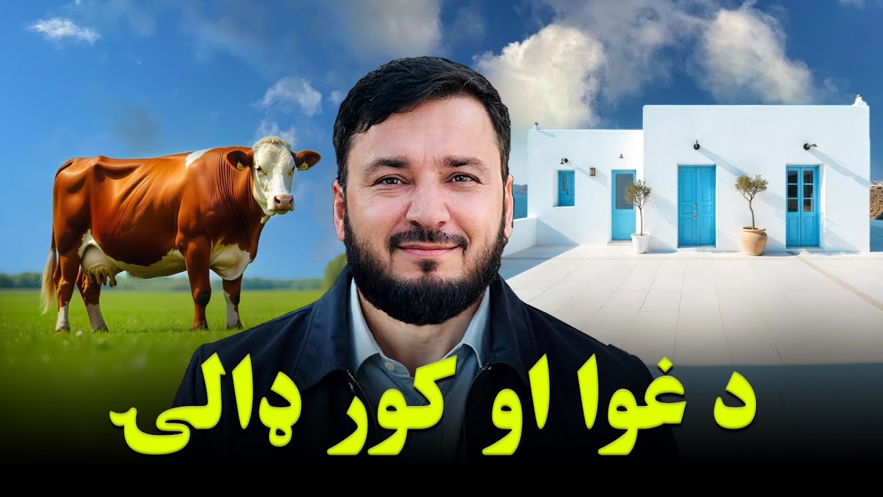 قمر بنسټ د غریبې کورنۍ ژوند بدل کړ | د کور او غوا ډالۍ | Qamar Foundation