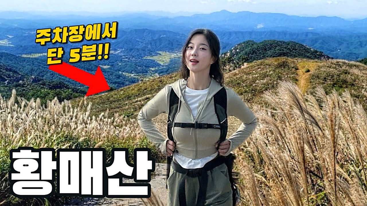 🍁올가을 꼭 가야할 국내 최고의 억새 군락지 | 가족여행 강력추천 | 5분 만에 이런 코스가? | 가을등산