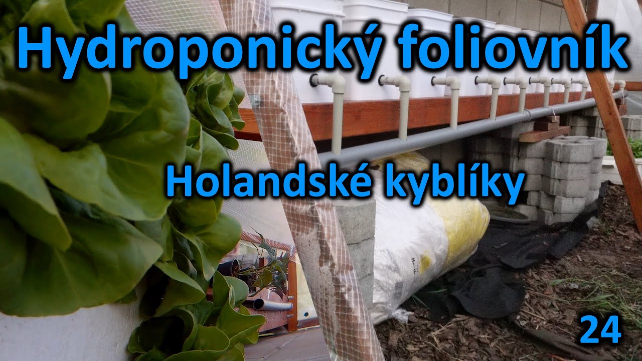 24. Recirkulační hydroponický systém dutch bucket