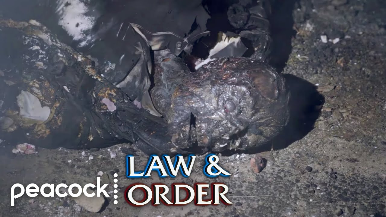 Teenage Boy Burnt to Death | Law & Order