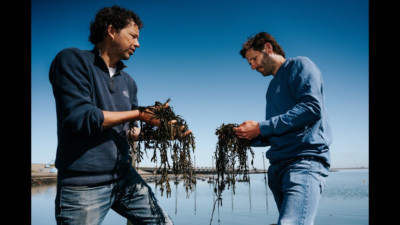 Investing in Dutch vision and seaweed: The Seaweed Company