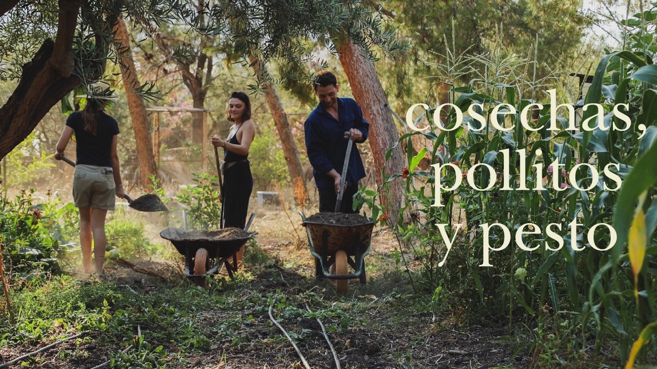 Vida Rural - Cosecha de Almendra, Pesto Casero y más Pollitos de Adoptados