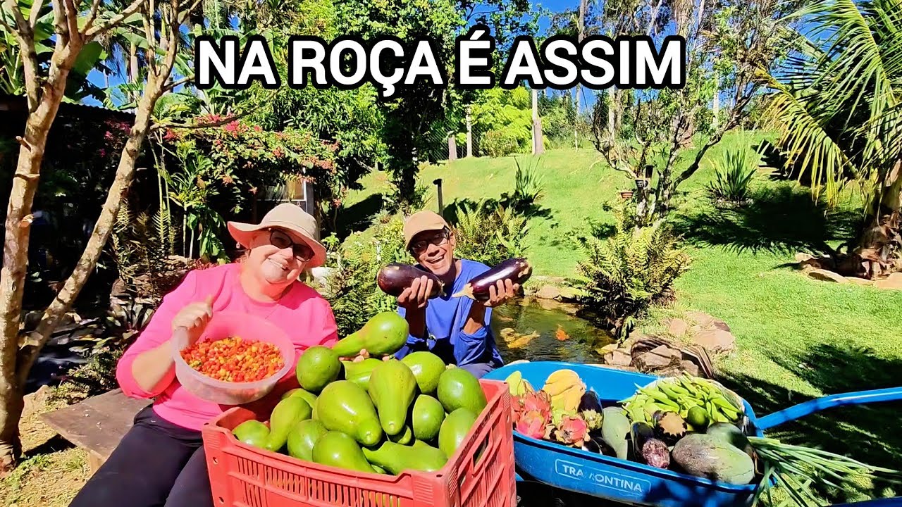 VOC&Ecirc; TERIA CORAGEM DE MORAR NA RO&Ccedil;A? OLHA NOSSA COLHEITA DE HOJE. 