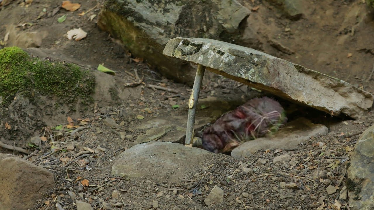 I Survived For Seven Days With Primitive Methods