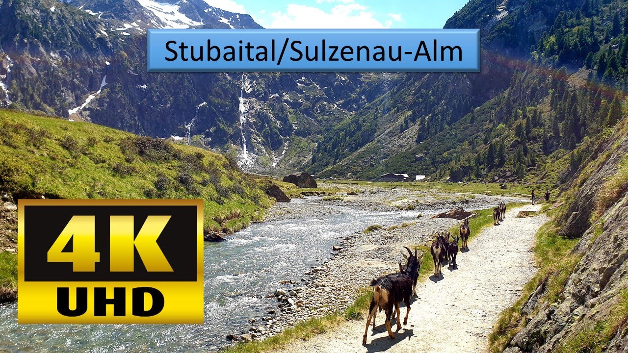 Wanderung zur Sulzenau-Alm von der Grawa-Alm (Stubaital)🏔  #wildewasserweg  #grawawasserfall #stubai