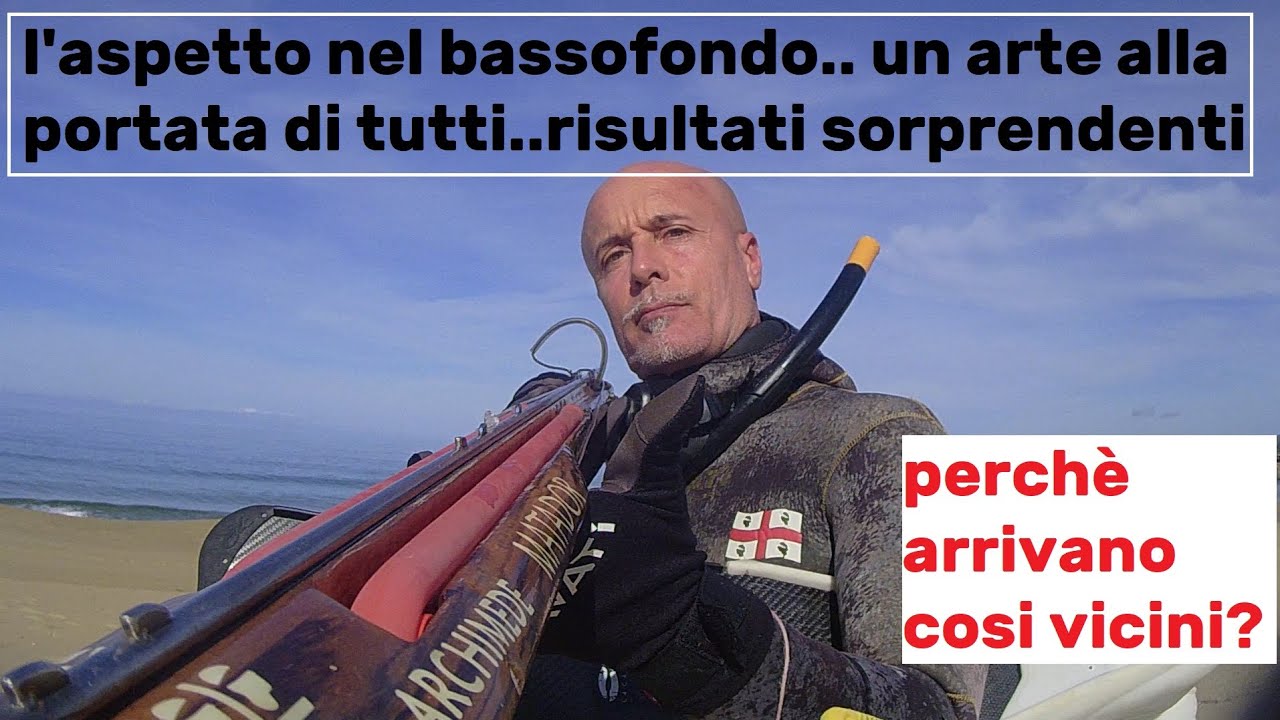 PESCASUB:Un avventura in costa ovest. bassofondo.tecnica dell' aspetto in un mare pulito.