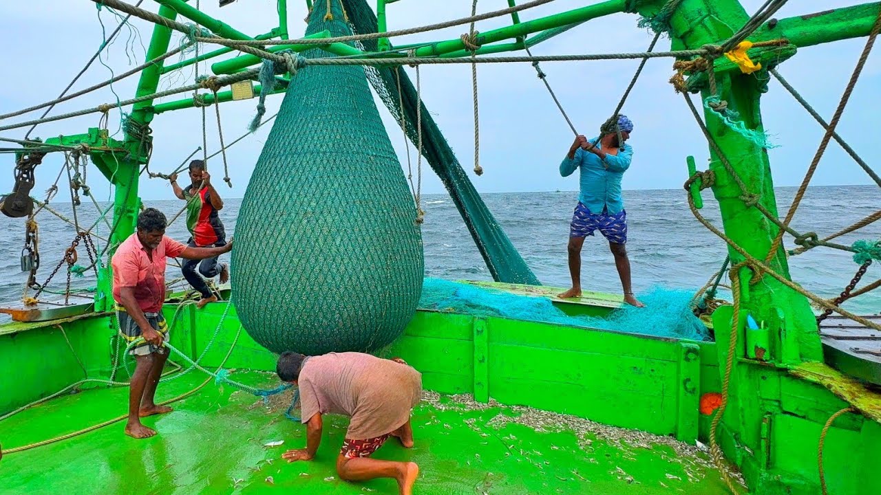 Ohh❗ Trawler Net Fishing 💢 Fishing Adventure 🤩 Full Video 