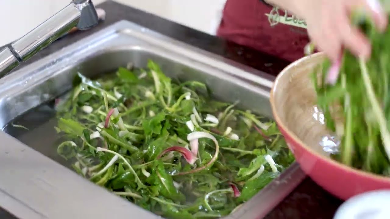 Löwenzahn - richtig vorbereiten, sauber machen und kochen