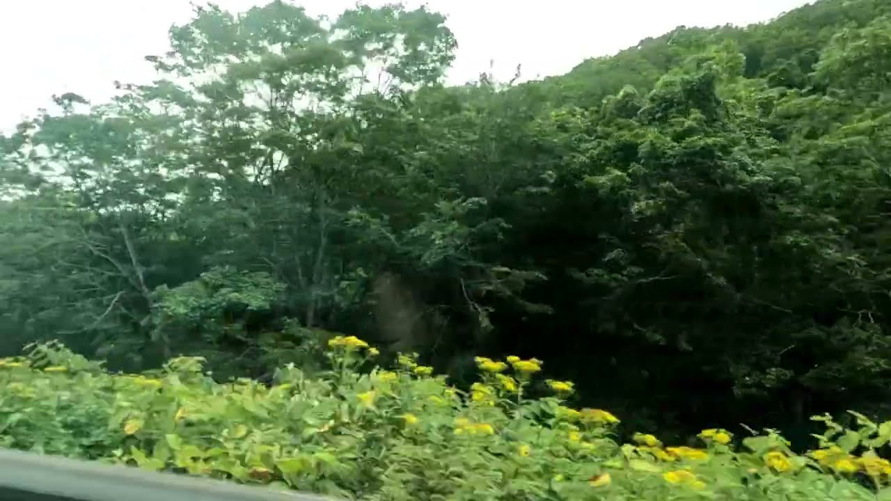 JR北海道　函館本線　長万部&rarr;ニセコ　hokkaido osyamanbe&rarr;niseko