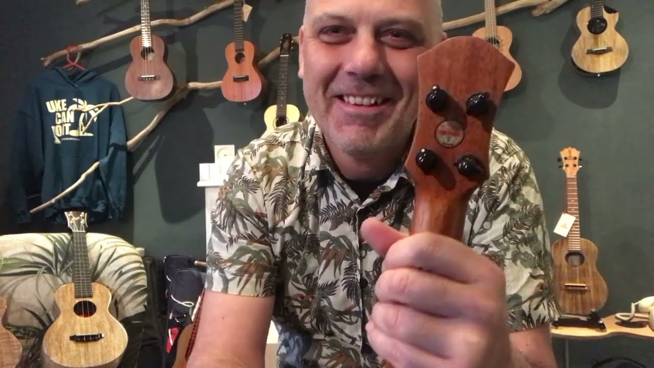 aNueNue Moonbird concert ukuleleplein