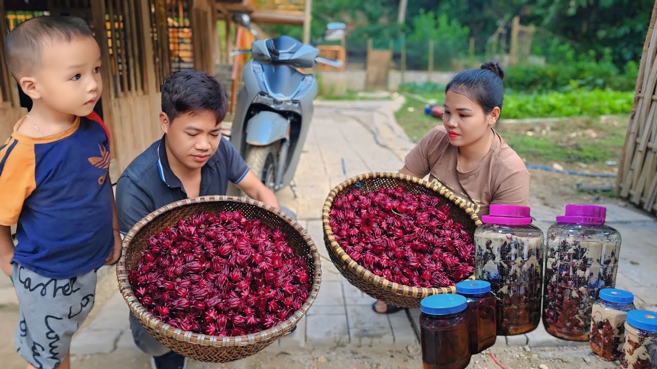 Harvesting RED ATISO FLOWER Processing and preservation - Live with nature