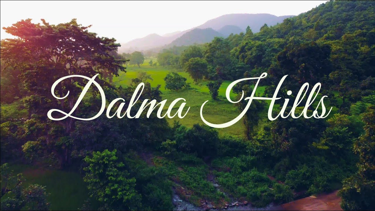 Dalma Hills (Part 1)