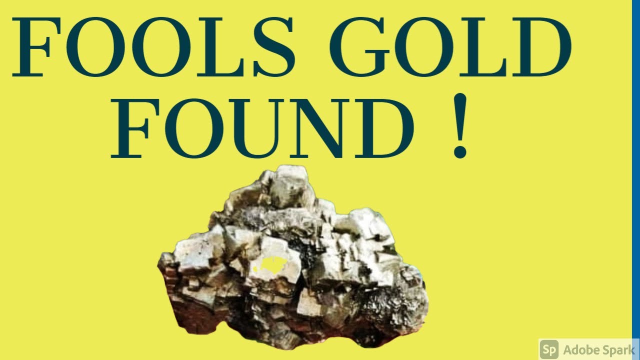 Fossil Hunting Easington - FOOLS GOLD !