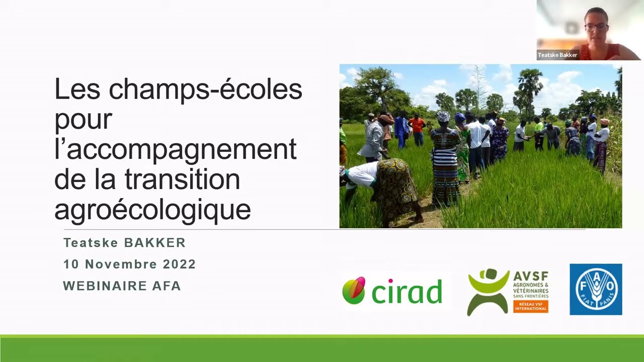 Les champs-écoles pour l’accompagnement de la transition agroécologique - étude de cas au Togo
