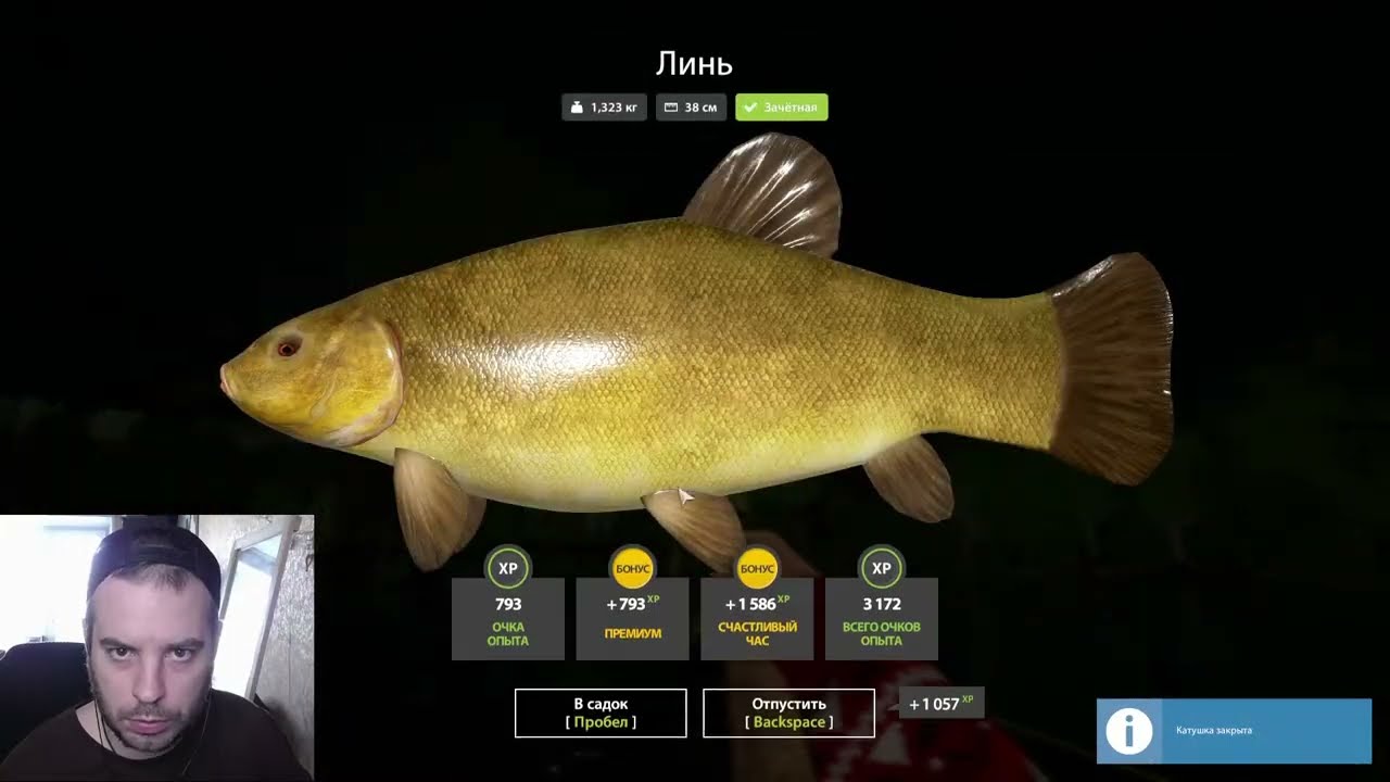 ✅Русская рыбалка 4✅ !tg !тт !донат #russianfishing4