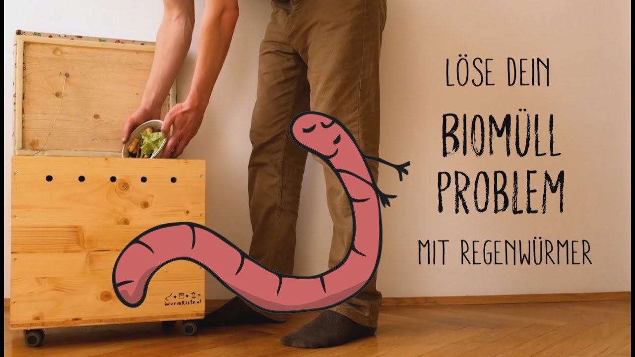 L&ouml;se dein Biom&uuml;ll Problem mit Regenw&uuml;rmer - in einer Wurmkiste - von wurmkiste.at