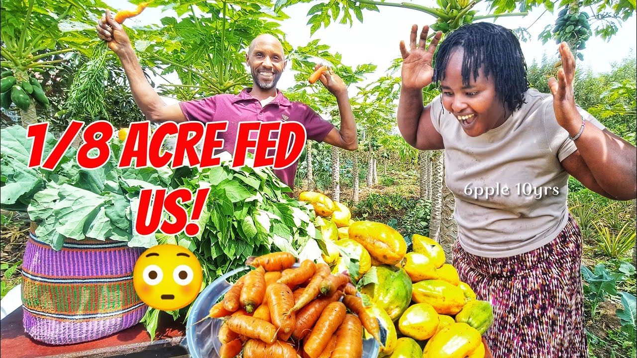 🔥WE FED OUR FAMILY FOR YEARS… USING JUST 1/8 ACRE! 😱