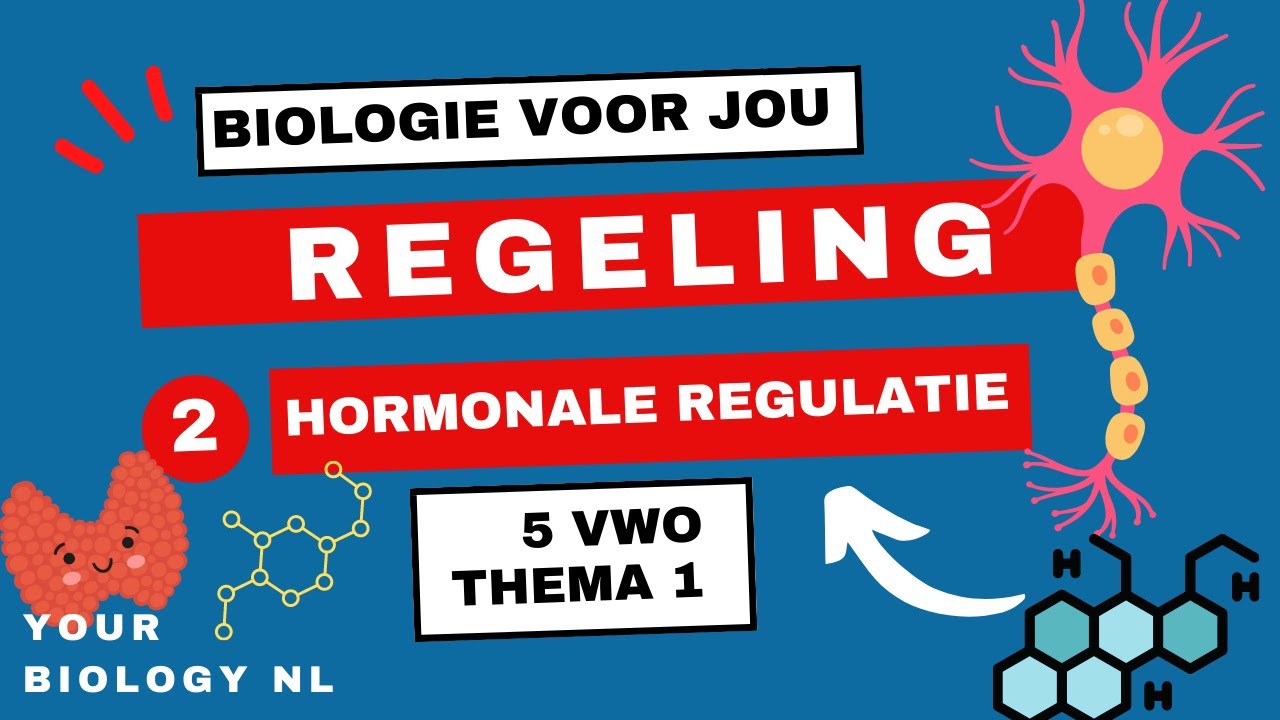 5 vwo | Regeling | 2 | Hormonale regulatie