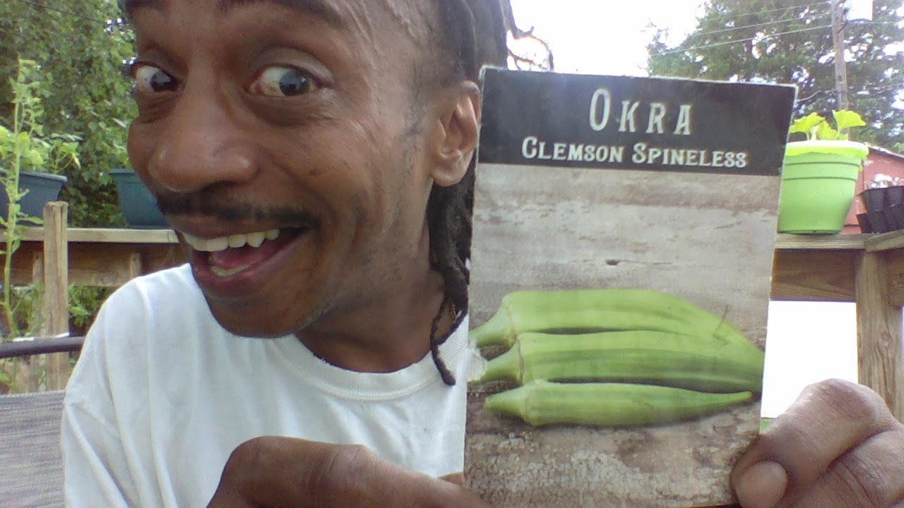 GROW OKRA IN CONTAINERS - HOW TO START FROM SEED TO HARVEST IN JULY - Gardening For Beginners 2020