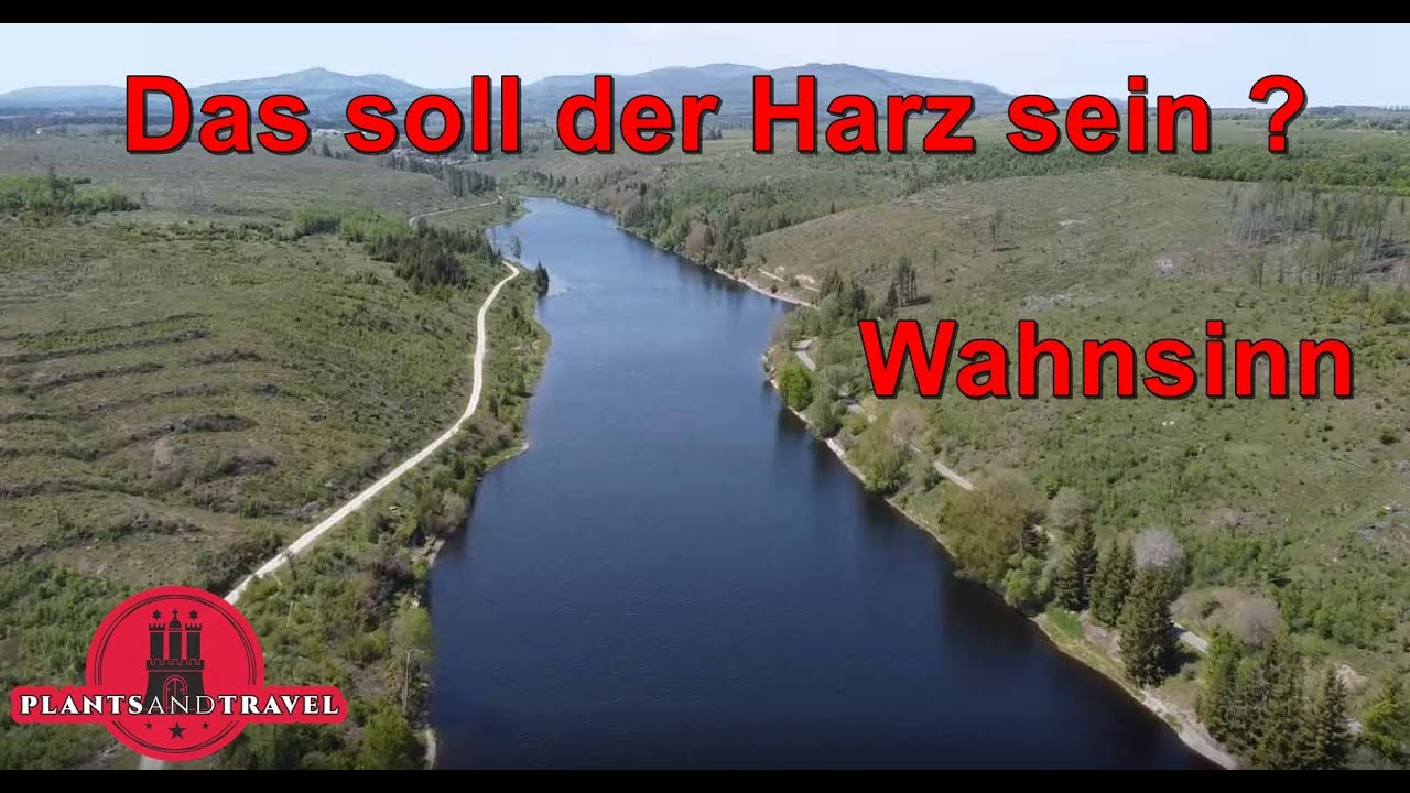 Wandern in  Wernigerode, Harzliebe. Mit dem Camper im Harz