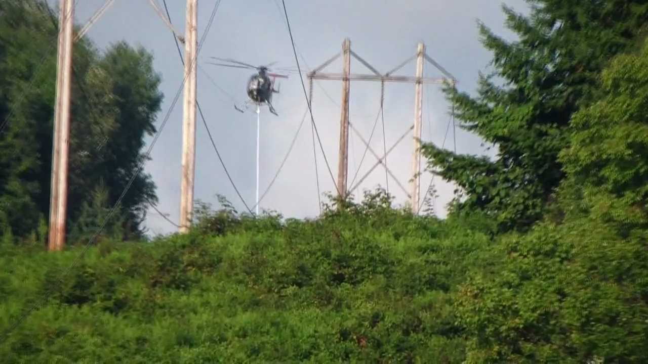 Helicopter trimming trees by high tensions lines.