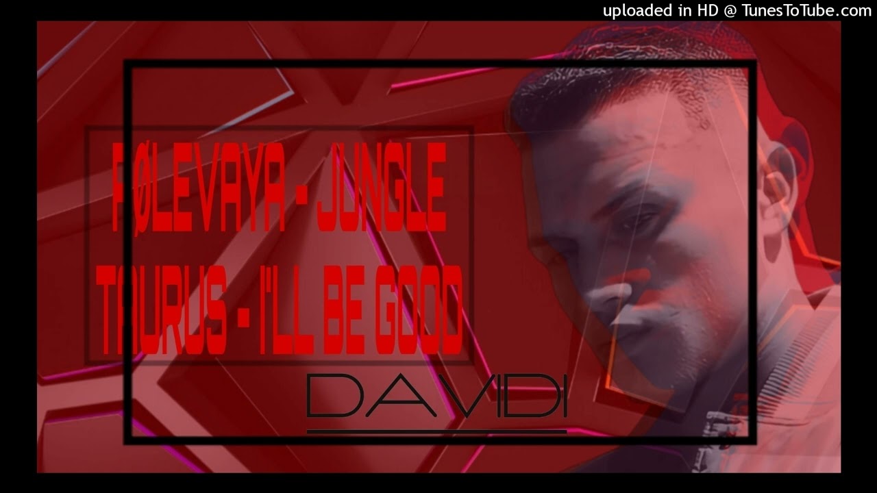 JUNGLE x I'LL BE GOOD (DAVIDI)