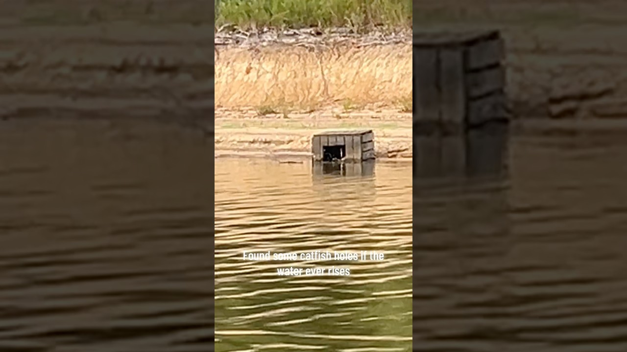 Catfish Noodle Boxes Located 