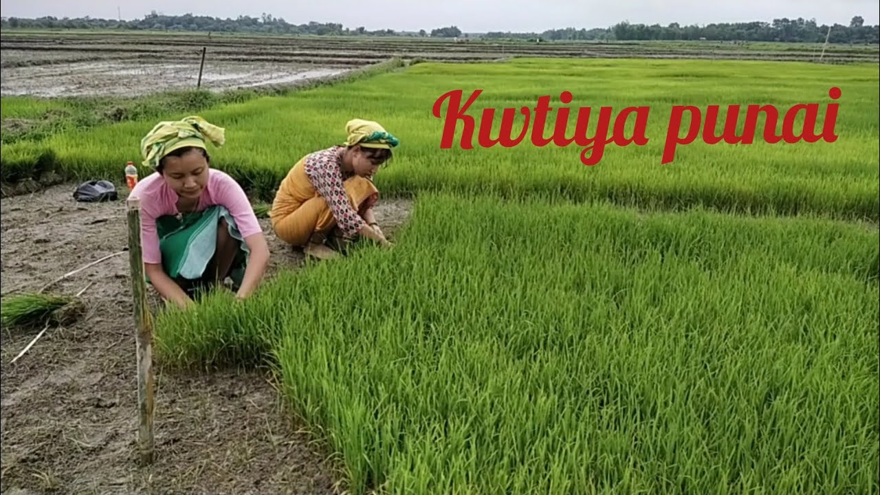 Gibi Kwtiya punai ( part 1) //Aru & Kabita // Bodo Sisters ❤️❤️