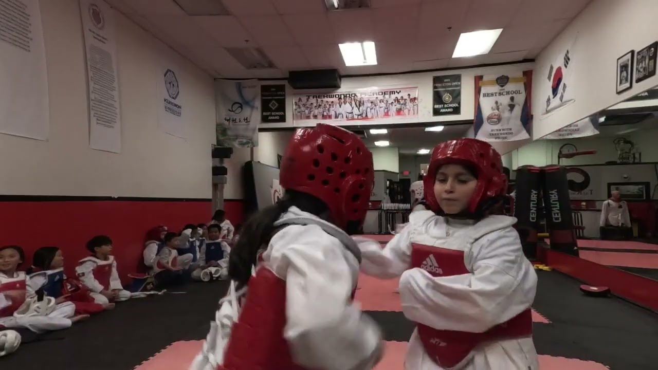 Sparring Day