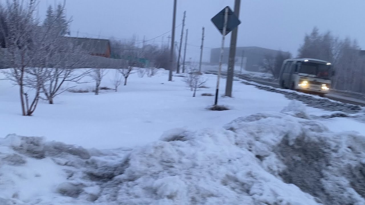 Ручьи были уже. А он на буран валяется( примета такая). Так весело ему! 16.3.26. Влог Адамовка.