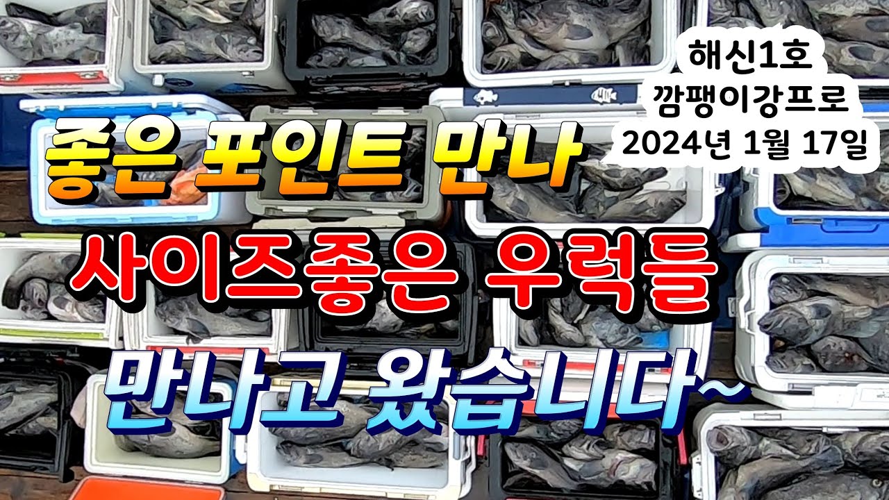 좋은 포인트 만나서 사이즈좋은 4짜~ 5짜~ 우럭들 만나고 왔습니다. 