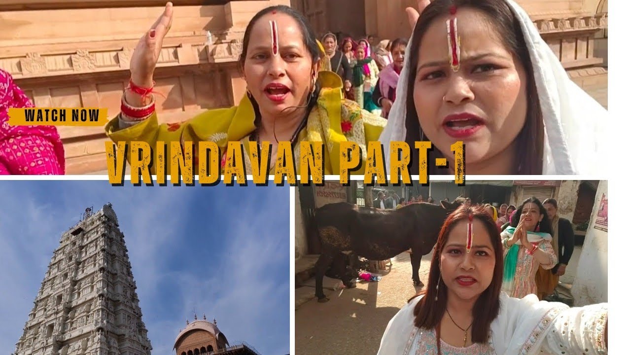 Vlog 98 ||Vrindavan part-1||•14 February 2026