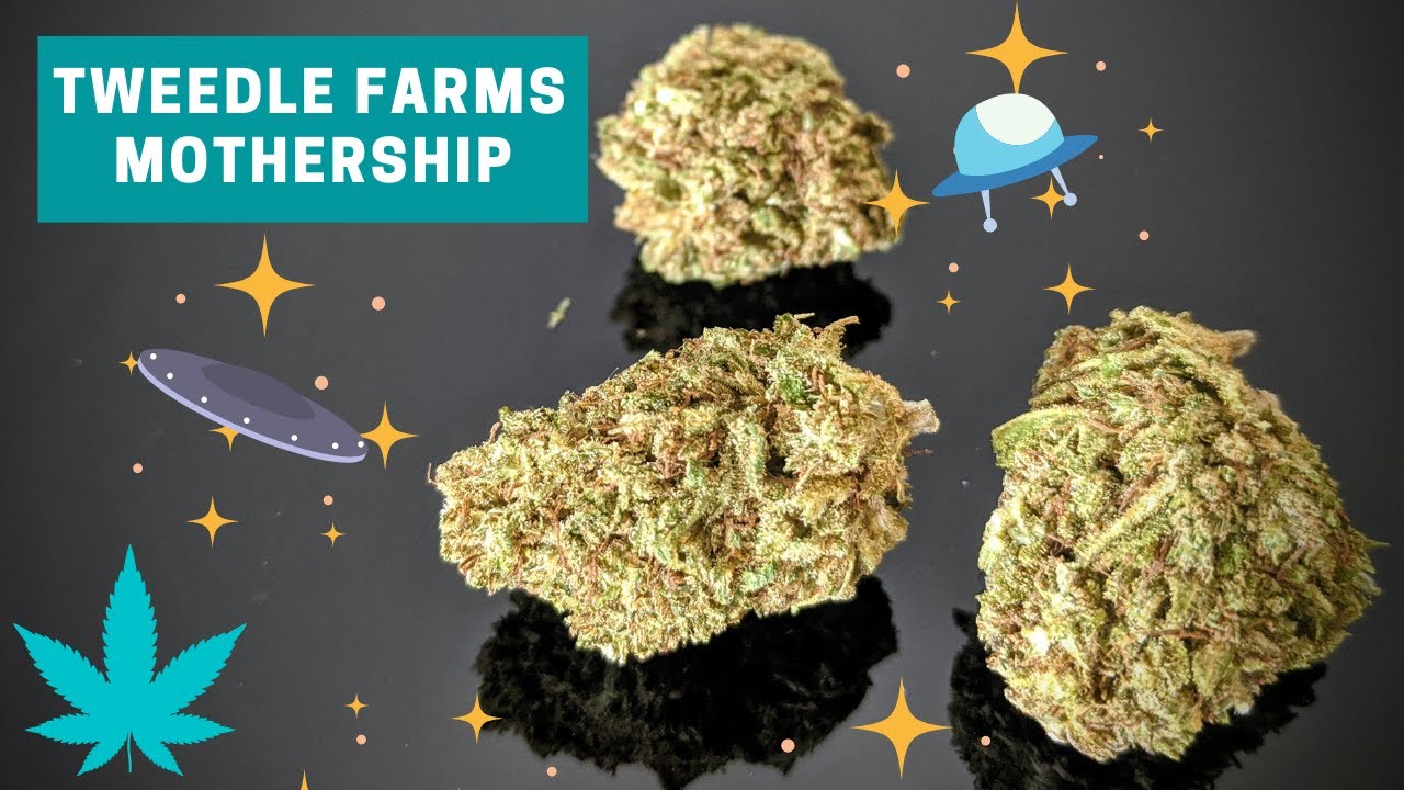 Mothership CBD Hemp Bud Review (Tweedle Farms)