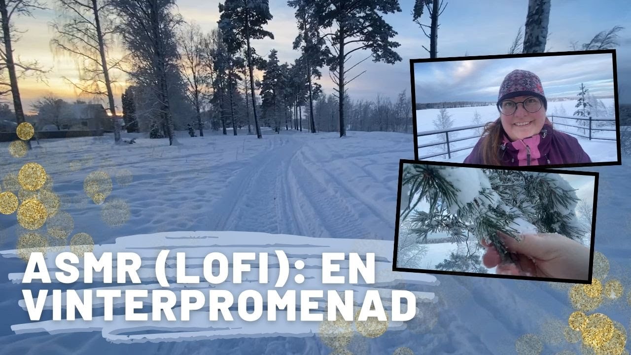 ASMR på svenska: Lo-fi en kall vinterdag i februari