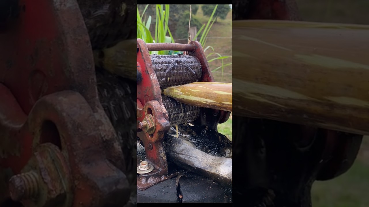 How To Make Sugar cane juice #shorts #shortsfeed #juice #sugarcane #juice #trending #viral #nice