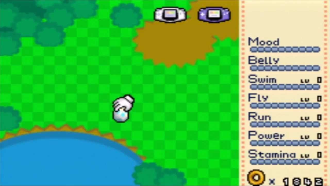Sonic Advance - Tiny Chao Garden