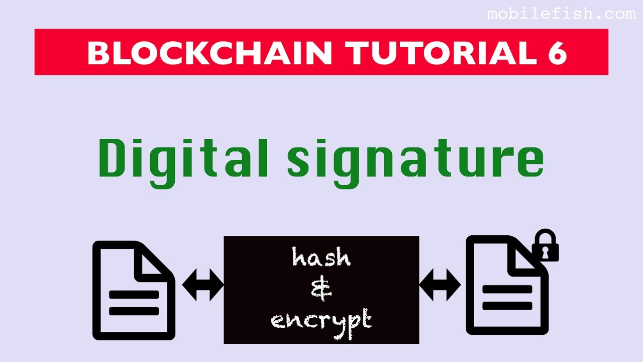 Blockchain tutorial 6: Digital signature